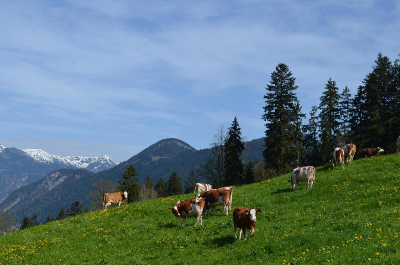 Apart Timeout Hart im Zillertal Exterior photo